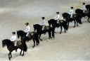 Sports Equestres -  diverses