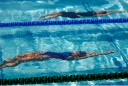 Sports Aquatiques - duane rocha araujo