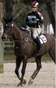 Sports Equestres - zara philips