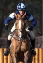 Sports Equestres - lucy wiegersma