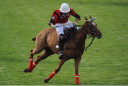 Sports Equestres - 