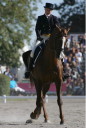 Sports Equestres - sian wynnemorris