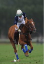 Sports Equestres - bartolome castagnola