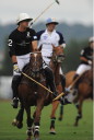 Sports Equestres - gonzalo pieres