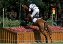 Sports Equestres - william fox pitt