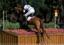 Sports Equestres - william fox pitt