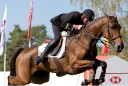 Sports Equestres - didier dhennin