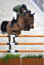 Sports Equestres - harrie smolders