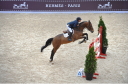 Sports Equestres - timothee anciaume