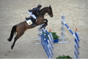 Sports Equestres - marcus ehning