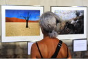 Exposition - 