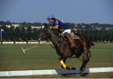 Sports Equestres - diverses