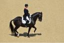 Sports Equestres - *carl hester