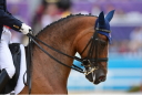 Sports Equestres - *jan ebeling