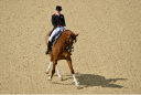 Sports Equestres - *laura bechtolsheimer