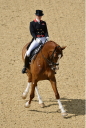 Sports Equestres - *laura bechtolsheimer