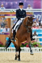 Sports Equestres - *jessica michel
