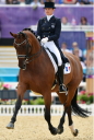 Sports Equestres - *jessica michel