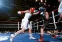 Sports de Combats - sarah ourahmoune