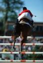 Sports Equestres - christophe francois