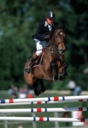 Sports Equestres - johan philippaerts