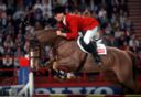 Sports Equestres - ludger beerbaum