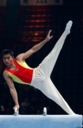 Gymnastique - fuliang liang