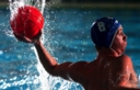 Sports Aquatiques - marco scheffer