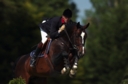 Sports Equestres - patrice delaveau