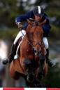 Sports Equestres - reynald angot