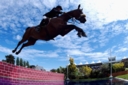 Sports Equestres - helena lunback