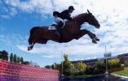 Sports Equestres - richard davenport