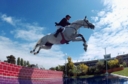 Sports Equestres - wim schroder