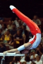 Gymnastique - takehiro kashima
