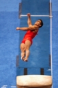 Gymnastique - marian dragulescu
