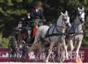 Sports Equestres - roman kusz