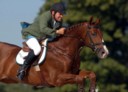 Sports Equestres - markus fuchs