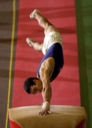 Gymnastique - yann cucherat