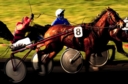 Sports Equestres - jean-michel bazire