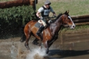Sports Equestres - didier willefert