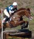 Sports Equestres - sarah cutteridge