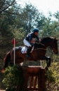 Sports Equestres - cedric lyard