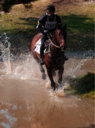 Sports Equestres - didier courreges