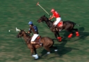 Sports Equestres - santiago gastambide