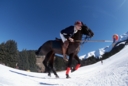 Sports Equestres - mathieu delfosse