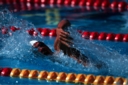 Sports Aquatiques - massimiliano rosolino