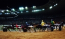 Sports Equestres - jean-michel bazire