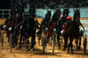 Sports Equestres - michel lenoir