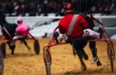 Sports Equestres - dominik locqueneux
