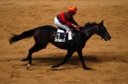 Sports Equestres - thierry jarnet